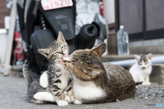 むぎゅ～