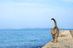 春のお散歩