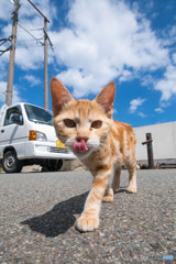 てへっ