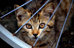 驚いた？ ごめんね