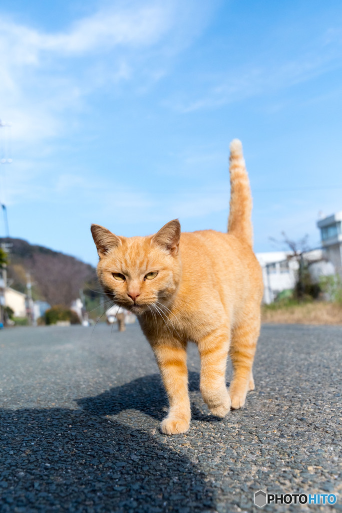 おニャッ？