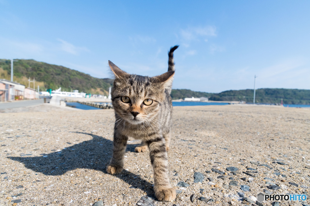 おにゃにゃっ