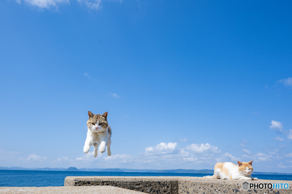梅雨入り前のピョン