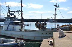 誰かの帰りを待っています。たぶん。