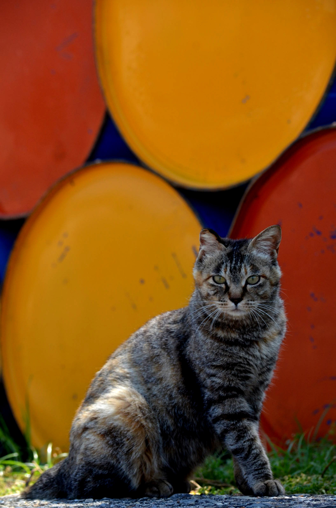 DSC_6745
