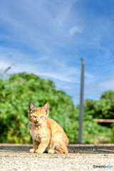 ちいさび ちいさび