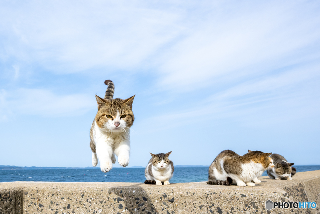 よいしょ