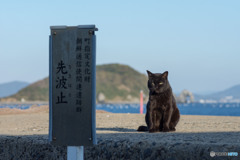 遺跡なんですって