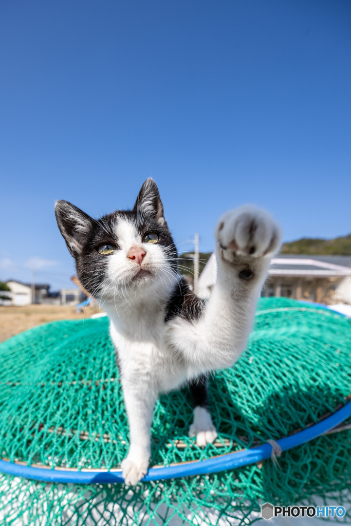 はっちゃんは元気者