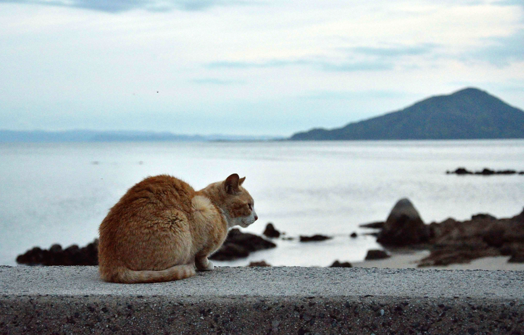 梅雨入りしましたね～
