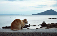 梅雨入りしましたね～