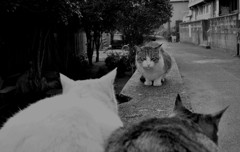 問い詰められる