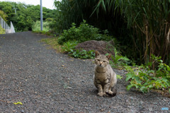 この視線は・・・・なんとなく、切なくなる