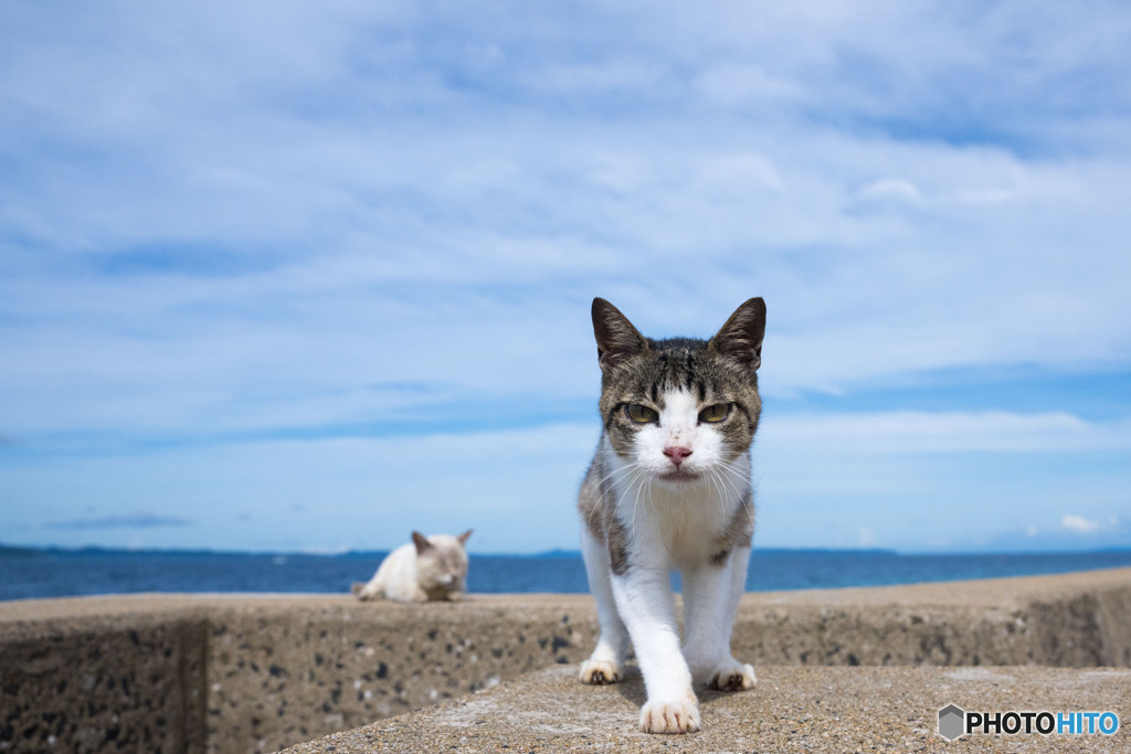 着地もかわいくね