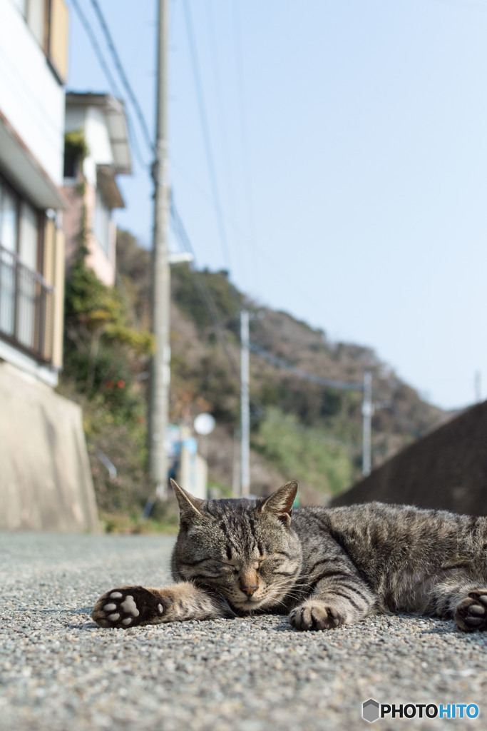寝る
