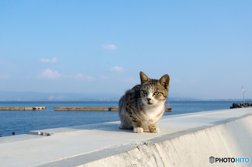 今日もいい日、明日もきっといい