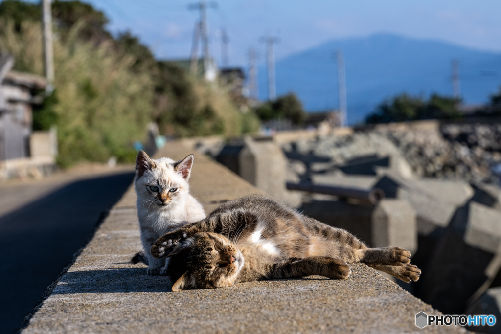 おチビとお母しゃん