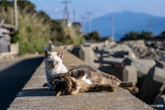 おチビとお母しゃん