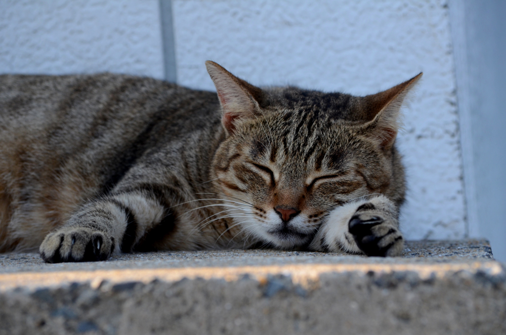DSC_0276