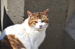 DSC_2013