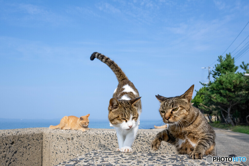 あぶないやろ～～～