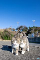 プリプリ姉妹とお母ちゃん
