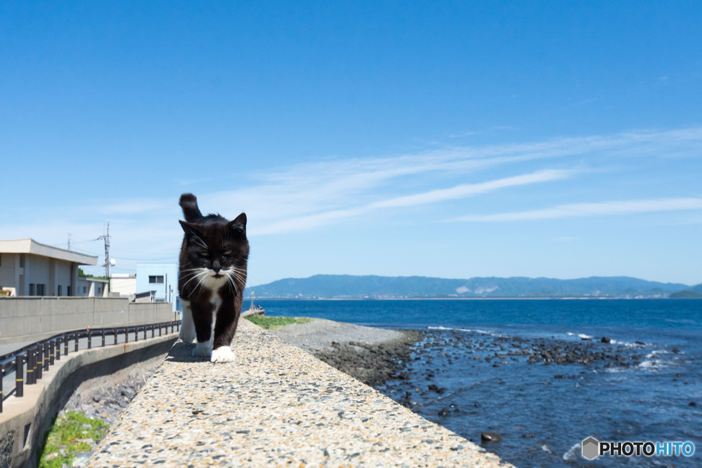 よかよかお天気