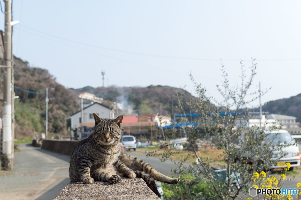 うにょっ？
