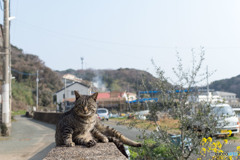 うにょっ？