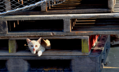 見つかってたのね(^^ゞ