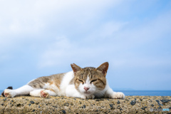 うとうと
