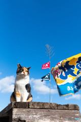 お正月って、やっぱりいいね