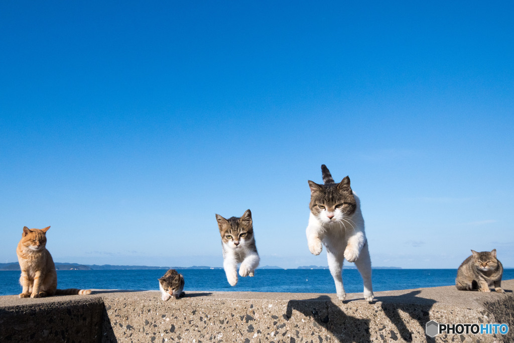ダブルでゴー！