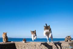 ダブルでゴー！