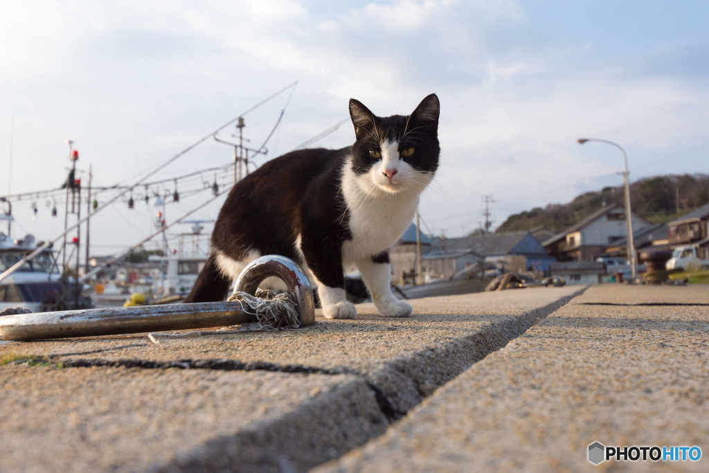おはよ～、はっちゃん