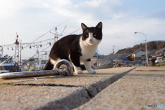 おはよ～、はっちゃん