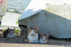 ママとおチビさん