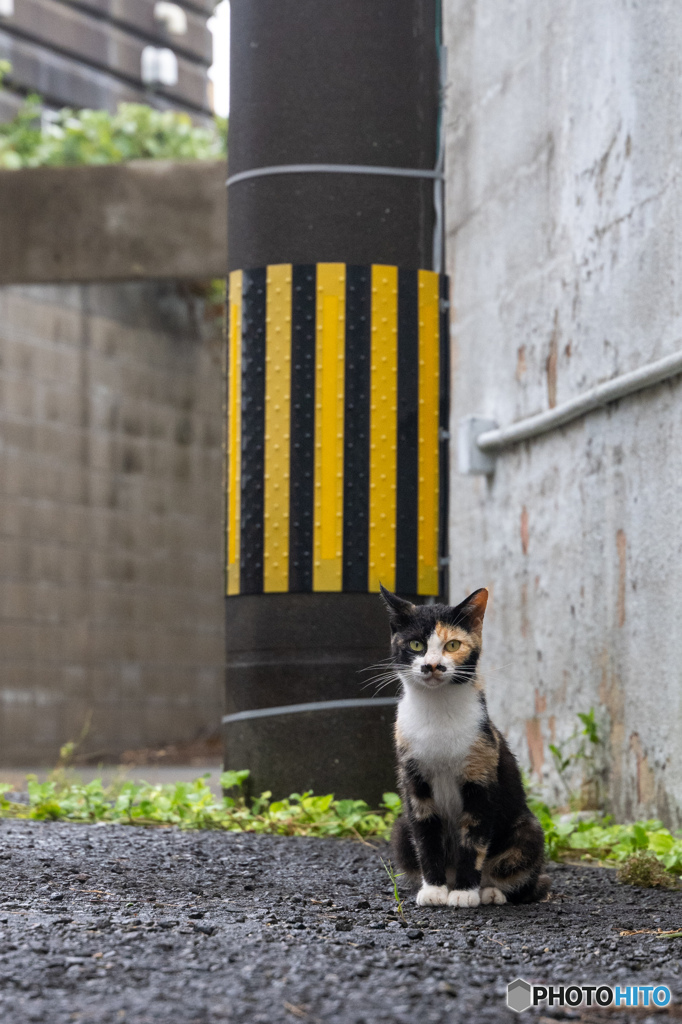 雨の日に