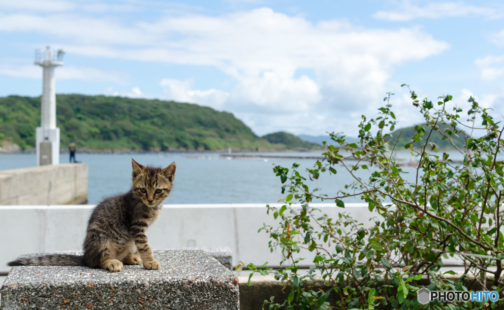 海辺のおチビさん