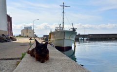 お年寄りですよ