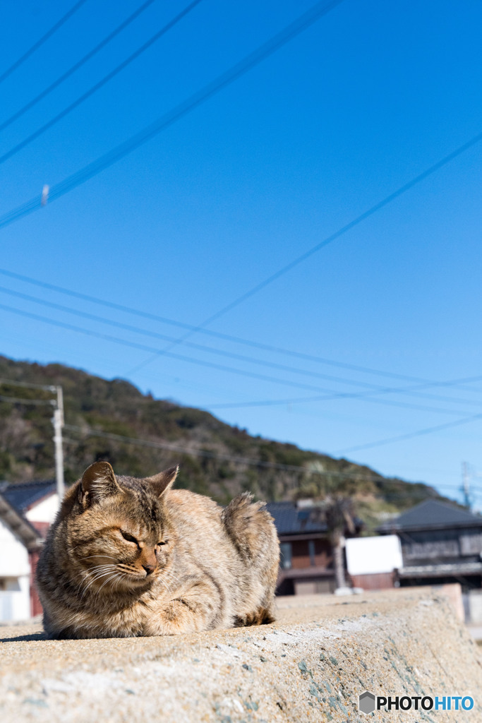 ぽかぽか日差しがいい心地