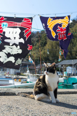おめでと、ミーさん
