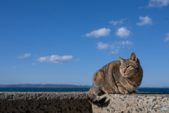 おひさまいいにおい
