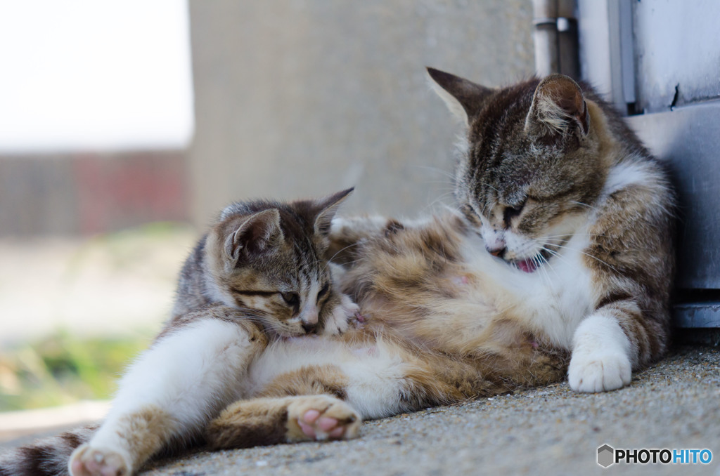 母ちゃんとおチビさん