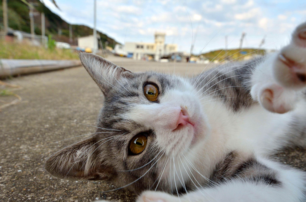 どうよ？