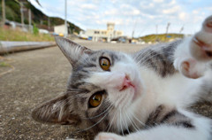 どうよ？