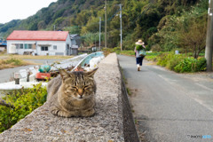 朝はのんびりとね