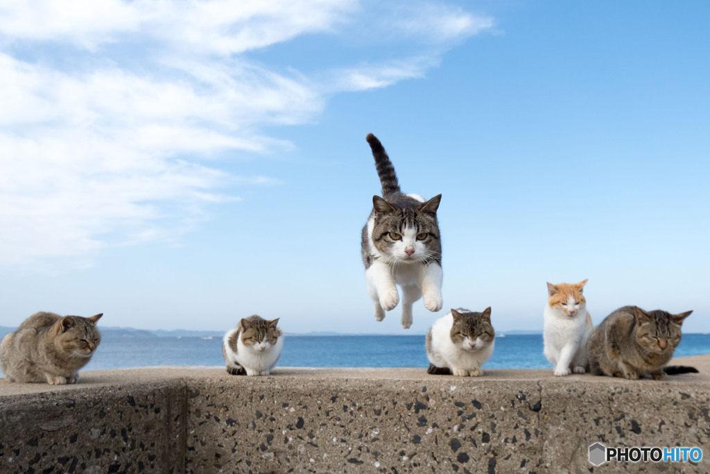 よいしょっとね