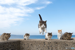 よいしょっとね