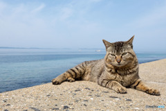 まったり海岸